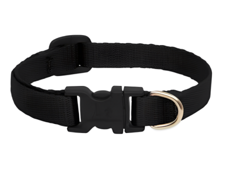 Skatrs Collar with Bell for Cats & Puppies (Black) Sale