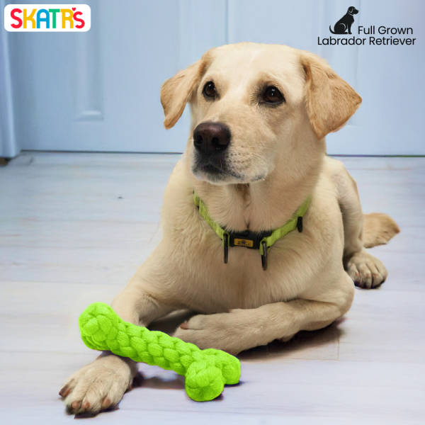 Skatrs Bone Shaped Rope Chew Toy for Dogs and Cats (Neon Green) Online now