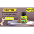 Cure By Design Cordycep Mushroom Capsules for Dogs and Cats For Cheap