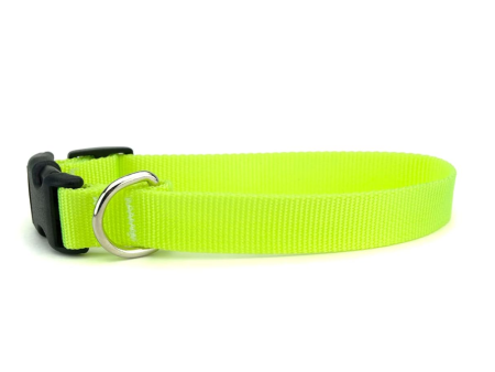 Skatrs Collar with Bell for Cats & Puppies (Lime Green) Online