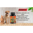 Cure By Design Reishi Mushroom Capsules for Dogs and Cats Sale