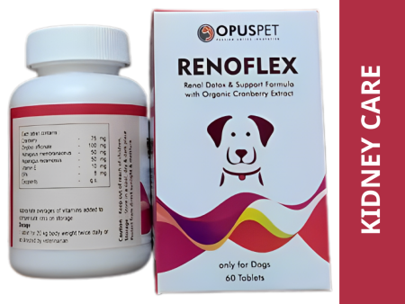 Opus Pet Renoflex Tablet Kidney Support for Dogs (pack of 60 tablets) Online now