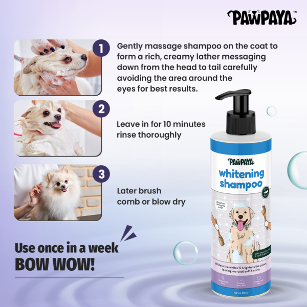 Pawpaya Whitening Coat Shampoo for Dogs Online Sale