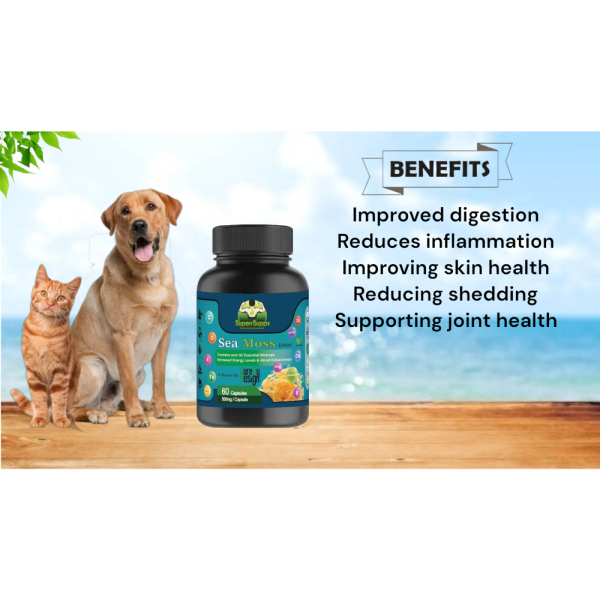 Cure By Design Sea moss Capsules for Dogs and Cats Online now