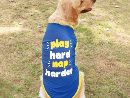 Pet Set Go Play Hard Nap Harder T Shirt for Dogs (Blue) Discount