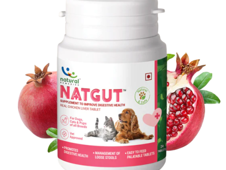 Natural Remedies Natgut Digestive Tablets for Dogs and Cats For Discount