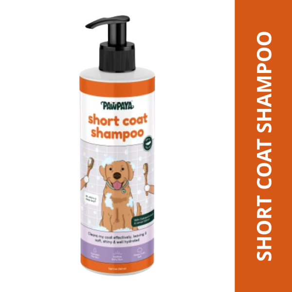 Pawpaya Short Coat Shampoo for Dogs Online now