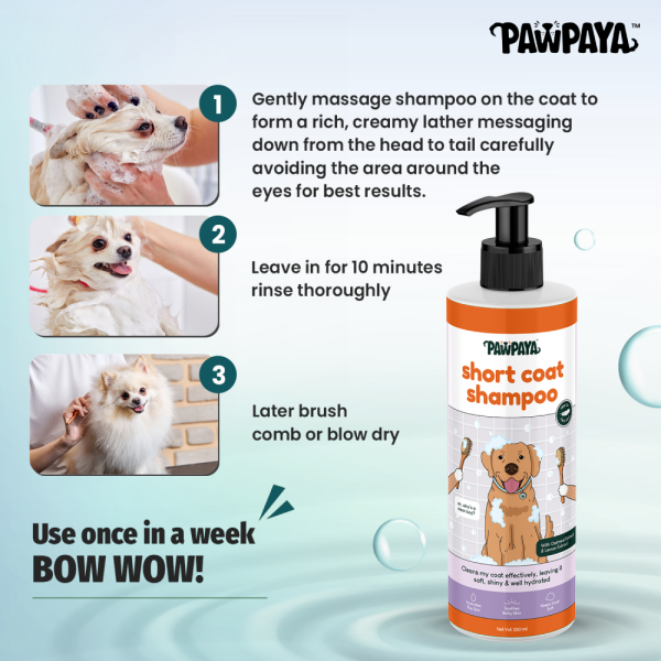 Pawpaya Short Coat Shampoo for Dogs Online now