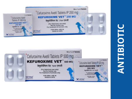 Vetina Kefuroxime Vet 250mg for Dogs and Cats (pack of 4 tablets) Online