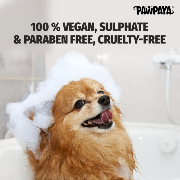 Pawpaya Short Coat Shampoo for Dogs Online now