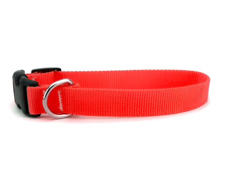 Skatrs Collar with Bell for Cats & Puppies (Red) Supply