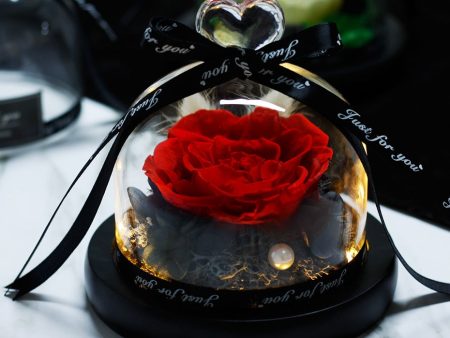 Forever Rose Flower In Flask LED Glass Dome Valentines Day Gift Online Sale