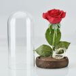 Beautiful Artificial Flowers Rose with LED Light Wooden Base Fashion