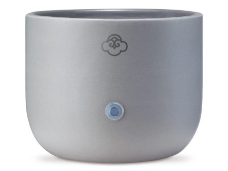 Gurē (Gray) - Wax Melter Discount