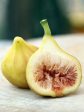 Fig Trees - Yellow Long Neck Online Hot Sale