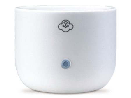 Shiro (White) - Wax Melter Supply