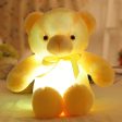 Cute Bear LED Light UP Stuffed Doll Online