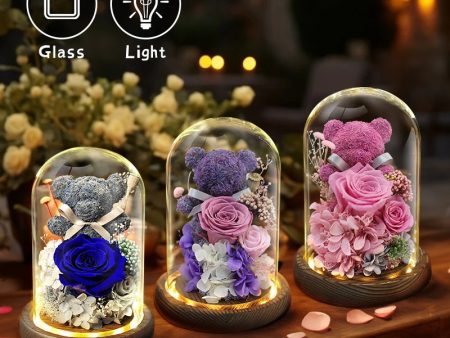 Teddy Bear Rose in Glass Dome with LED Light Valentine Gft for Her Supply