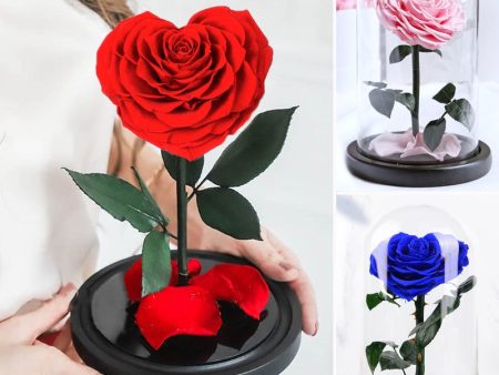 Heart Shaped Preserved Rose Artificial Flower In A Glass Dome Valentine Christmas Gift For Discount