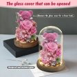 Teddy Bear Rose in Glass Dome with LED Light Valentine Gft for Her Supply