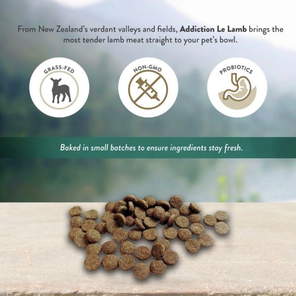 25% OFF BUNDLE DEAL : Addiction Le Lamb Grain Free Dry Dog Food For Sale