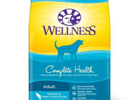 20% OFF: Wellness Complete Health Whitefish & Sweet Potato Adult Dry Dog Food Online Sale